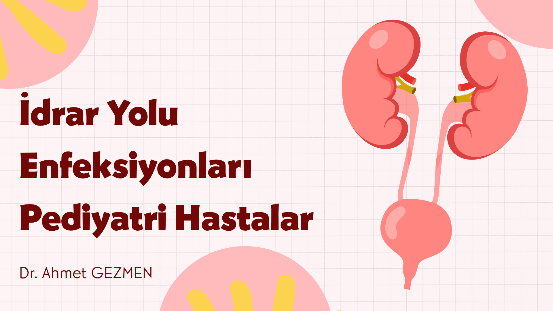 İdrar Yolu Enfeksiyonları