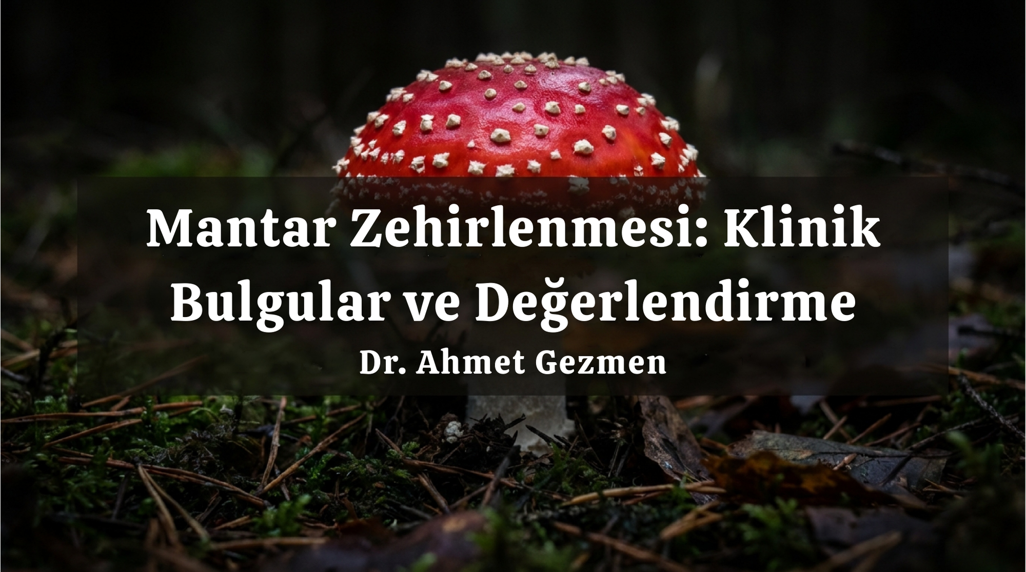 Mantar Zehirlenmesi: Klinik Bulgular ve Değerlendirme